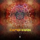 Psilocybe Project - Broken Geometry