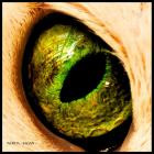 Inertia-Zadan- LL007 -16BIT-WEB-FLAC-2024-BABAS