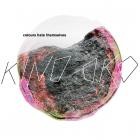 Kino Oko - Colours Hate Themselves