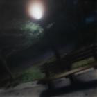 xaviersobased - Xavier