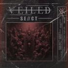 Veiled-SE  CT-16BIT-WEB-FLAC-2024-FLACCiD