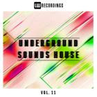 VA - Underground Sounds House, Vol  11