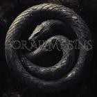 Ends With A Bullet - For All My Sins