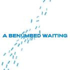 VA-A Benumbed Waiting- SLVMNCR010 -16BIT-WEB-FLAC-2025-BABAS