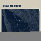 Dead Meadow-Foundlings-WEB-2026-MARR