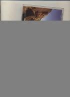 Roch Voisine - Americana Ii