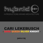 Cari Lekebusch - Dark Queen Silver Knight