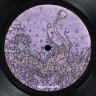 Ekoplekz-Dirtbokz- SLVMNCR008 -24BIT-WEB-FLAC-2024-BABAS