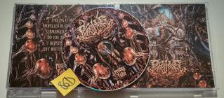 Purulence-Resurrected in Agony- FADE120 -CDEP-FLAC-2026-86D