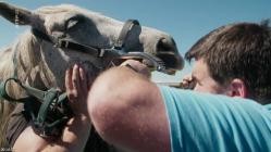 360.Grad.Geo.Reportage.E633.Connemara.-.Wie.das.Land.so.das.Pony.GERMAN.DOKU.WS.HDTVRip.x264-Goodboy