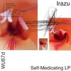 Irazu-Self-Medicating LP- WU87D -24BIT-WEB-FLAC-2023-BABAS