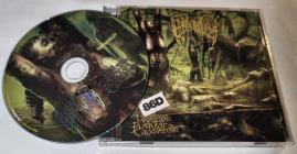 Epicardiectomy-Dismal Landscapes of Voluptuous Pustular Cadaverosis- NSE151-01 -CD-FLAC-2026-86D