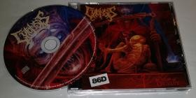 Cytolysis-Surge of Cruelty- COMA188 -CD-FLAC-2025-86D