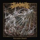 Judiciary - Wall Of Skulls