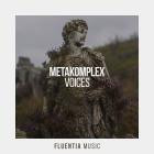Metakomplex - Voices