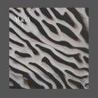 VA-Yuga I- LSYA003 -16BIT-WEB-FLAC-2023-BABAS