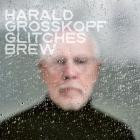Harald Grosskopf - Glitches Brew