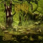 Epicardiectomy - Dismal Landscapes of Voluptuous Pustular