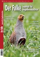 Der Falke - Journal fuer Vogelbeobachter 03/2023