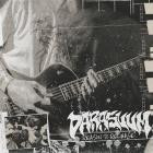 Darasuum - Seasonal Friends