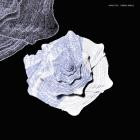 Fabio Anile - Minutiae