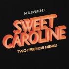Neil Diamond - Sweet Caroline (Two Friends Remix)