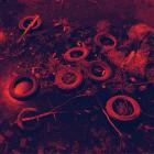 Kastil-Binding Echoes EP- ST191 -16BIT-WEB-FLAC-2019-BABAS