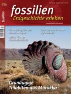 FOSSILIEN - Erdgeschichte erleben 03/2025
