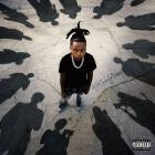 414JungleBaby - - Everybody Watching  