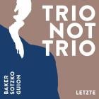 Aidan Baker x Jana Sotzko x Melissa Guion - Trio Not Trio (Letzte)