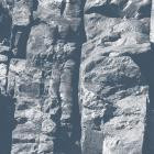 Driftwood - Maps