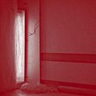 Jannis Anastasakis - Solaris