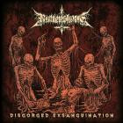 Ruttenskalle - Disgorged Exsanguination