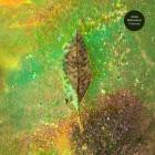 Adam Rubenstein - Firebreak
