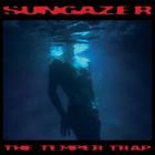 The Temper Trap - Sungazer
