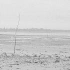 Monic - You Can Rest Now