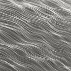 Whitelands - Sunlight Echoes