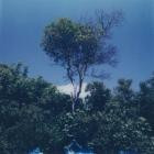 Anthene-Time And Space- HOMEN246 -24BIT-WEB-FLAC-2026-BABAS