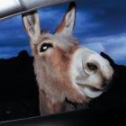 SUPERWORLD-Super World-16BIT-WEB-FLAC-2026-FLACCiD