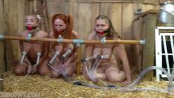 HuCows.26.02.14.Denise.Zoey.Ziptie.And.Melodie.Goat.Milker.XXX.1080p.MP4-FETiSH