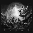 Bleak - Part I