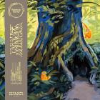 Katatonic Silentio-Paradise Mountain- MLC024 -24BIT-WEB-FLAC-2026-BABAS