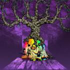 Colour - The Traveller