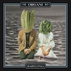 Organi - Babylonia