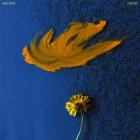 Nils Edte-Cogitat- PRDWNV007 -16BIT-WEB-FLAC-2026-BABAS