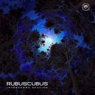 Rubuscubus-Intercrown Spacing- WDGD024 -16BIT-WEB-FLAC-2020-BABAS