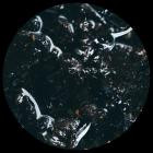 Tarantula Nebula - Unknown Species