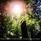 Black Bayou Construkt - - Kingdoms Of Folly  