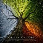 Eric Hui-Ti Wang & Orchestra of The Household Divisi - Green Canopy