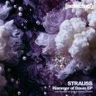STRAUSS  - Hammer of Dawn